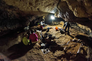 Sigüenza abrió el II Ciclo de Conferencias Arqueológicas promovidas por el Museo de Molina