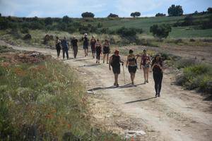 Los viajeros llegan a Trillo tras dejar atrás Gárgoles de Abajo y Cifuentes