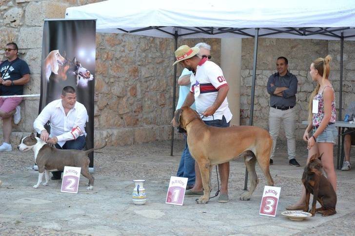 Celebrado el I Concurso Nacional Canino de Fuentenovilla 