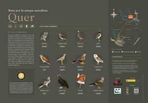 La I Ruta Ornitológica de Quer, primer paso del ambicioso proyecto setero de turismo medioambiental
