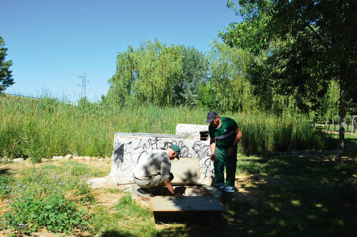 Operarios municipales iniciaban este miércoles la limpieza de la laguna de La Quebradilla. Fotografía: Álvaro Díaz Villamil/ Ayuntamiento de Azuqueca de Henares