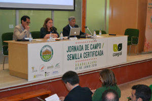 El Centro de Investigación Apícola y Agroambiental de Marchamalo, referente en la investigación de semillas agroalimentarias