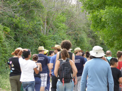 Recuperan un chozón sabinero en el Alto Tajo