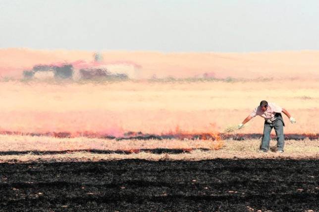 UPA pide a la Junta que autorice la quema controlada de rastrojos para acabar con las plagas