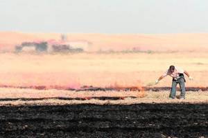 UPA pide a la Junta que autorice la quema controlada de rastrojos para acabar con las plagas