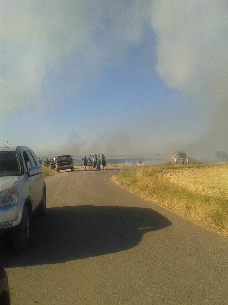 Extinguido el incendio forestal declarado este sábado por la noche en Valdeavellano