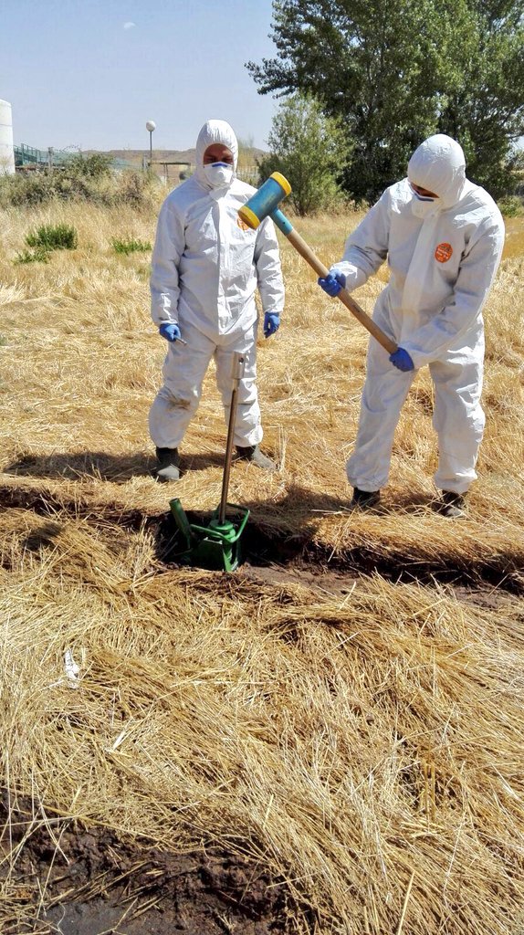Robisco: Page está actuando con un grado de oscurantismo preocupante sobre las consecuencias medioambientales del incendio de Chiloeches