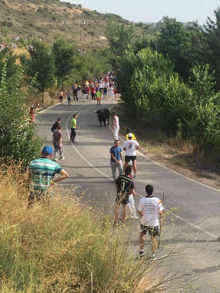 Dos heridos por asta de toro y decenas personas atendidas en el tradicional encierro de Brihuega