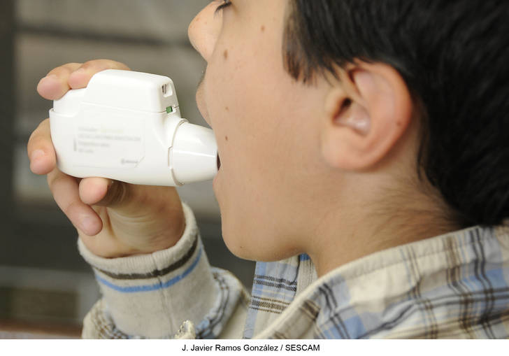 El Área Integrada de Guadalajara inicia la elaboración de una vía clínica que hará más rápida y eficaz la atención a pacientes asmáticos