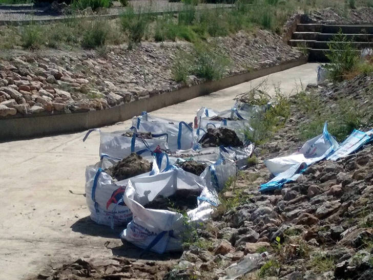Guadalagua espera extraer cerca de 50 toneladas en la limpieza del Barranco de la Olmeda