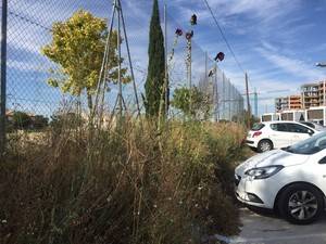 Page tiene 20 días para evitar que el caos de tráfico convierta en una ratonera el Hospital de Guadalajara