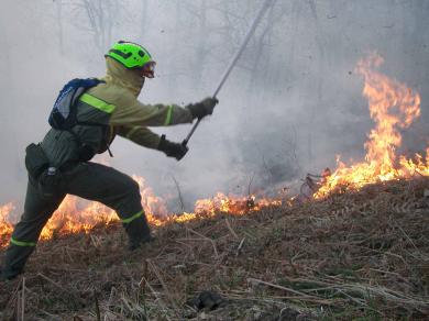 Alerta por "riesgo extremo" de incendios forestales en Castilla-La Mancha