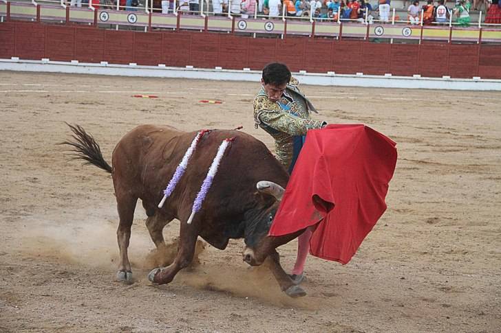 Jesús Enrique Colombo sale por la puerta grande de las Cruces en el primer festejo de Sigüenza