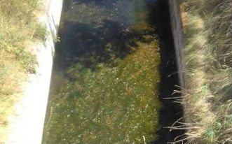 El Ayuntamiento de Matillas alerta del lamentable estado de suciedad y malos olores del canal que atraviesa el pueblo