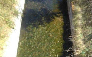 El Ayuntamiento de Matillas alerta del lamentable estado de suciedad y malos olores del canal que atraviesa el pueblo