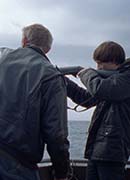 Sparrows (Gorriones)