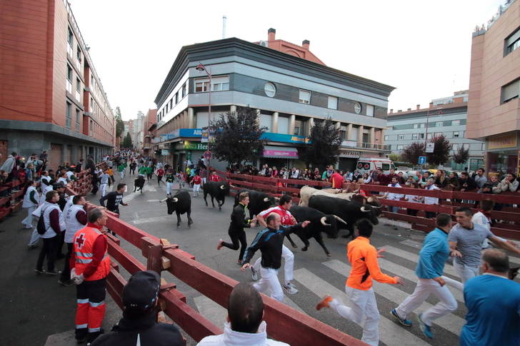 Seis heridos en el cuarto encierro de las Ferias y Fiestas de Guadalajara, dos de ellos, trasladados al Hospital General