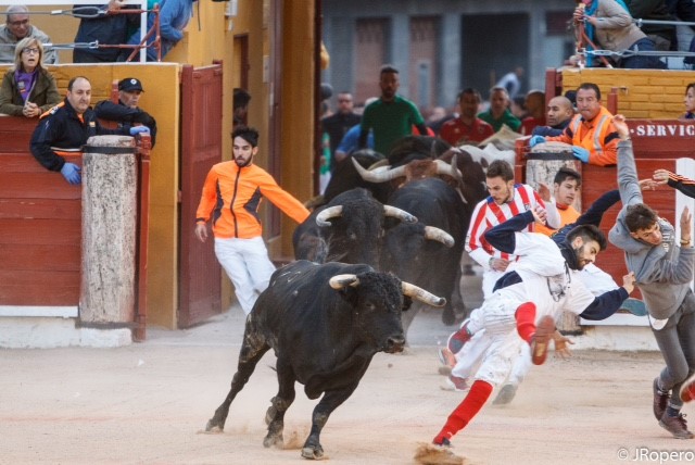 Seis heridos en el cuarto encierro de las Ferias y Fiestas de Guadalajara, dos de ellos, trasladados al Hospital General
