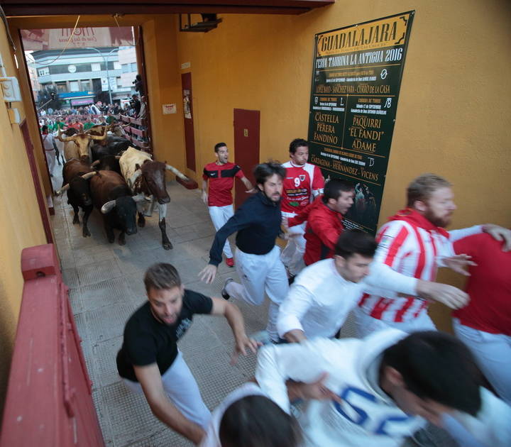 El primer encierro de las Ferias y Fiestas de Guadalajara, limpio y sin incidencias