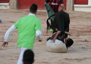 El primer encierro de las Ferias y Fiestas de Guadalajara, limpio y sin incidencias