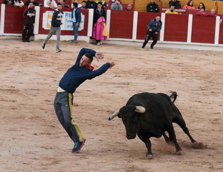 El primer encierro de las Ferias y Fiestas de Guadalajara, limpio y sin incidencias