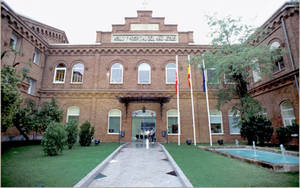 Ingresada en el Hospital Niño Jesús una bebé tras el ataque de un perro en Matarrubia