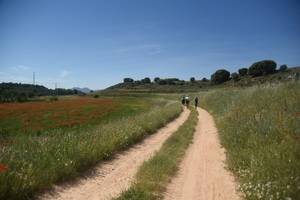 La Diputación y la CEOE organizan un viaje a La Alcarria para medios especializados en turismo