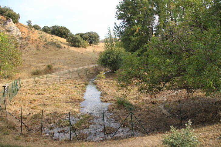El Ayuntamiento de Sigüenza culmina los trabajos de desbroce en el nacimiento del Río Henares 