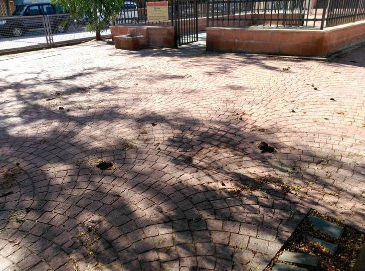 IU Azuqueca vuelve a denunciar la suciedad existente en el municipio