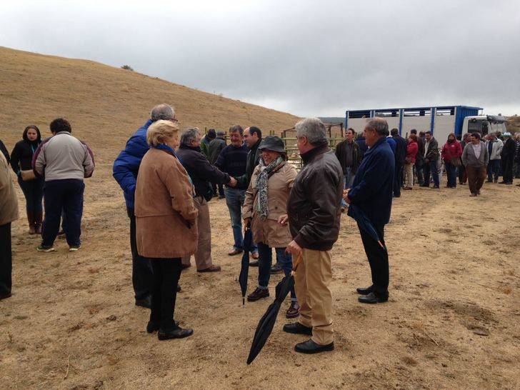 La Diputación de Guadalajara muestra su apoyo al sector ganadero en la Feria de Cantalojas