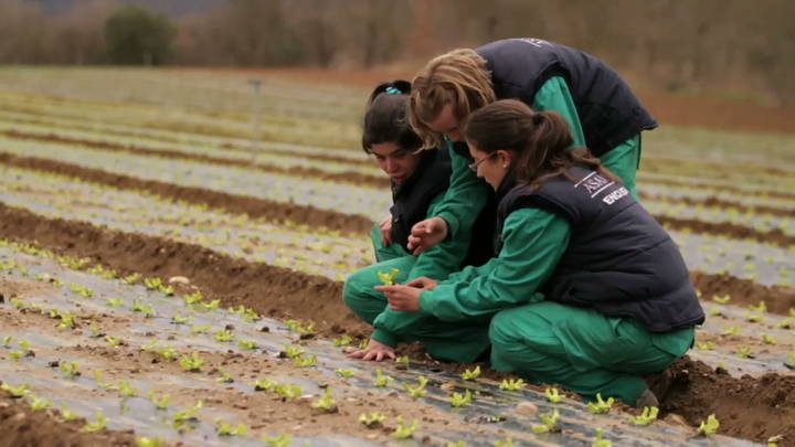 La Caixa destina 23.460 euros a un proyecto que ayudará a personas en situación vulnerable en Molina de Aragón