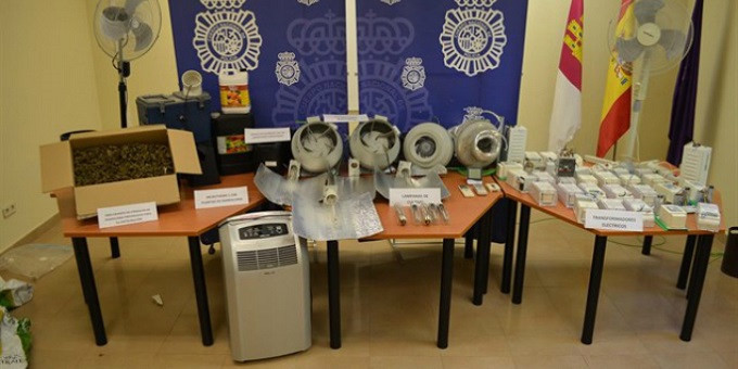 Detienen a una pareja en un chalé de El Casar de Talamanca con 1.300 plantas de marihuana que 