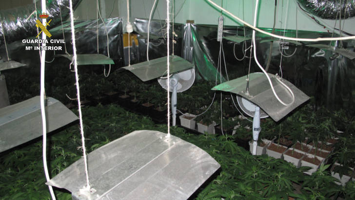 Detienen a cuatro personas en Cabanillas del Campo por cultivar marihuana