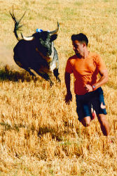 Jabato se alza con el Primer Premio del 11º Concurso de Fotografía Taurina de ToroAlcarria