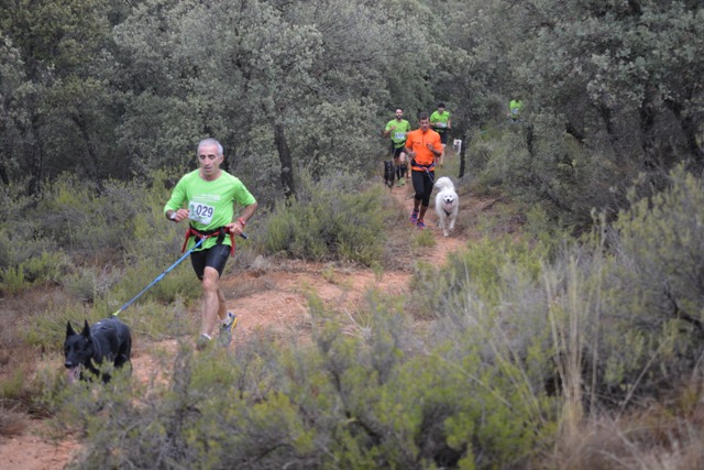 Triunfo de los favoritos en el primer canicross de la temporada celebrado en Trillo