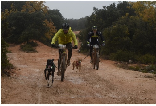 La lluvia y el barro fueron los protagonistas del canicross solidario de Yebes-Valdeluz