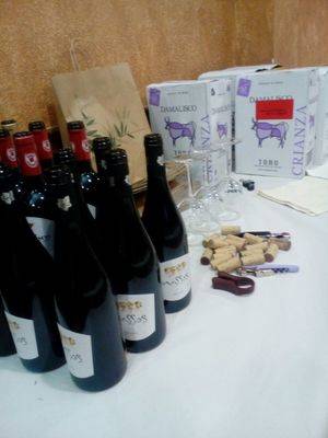 El Fogón del Vallejo continúa con sus populares Catas de Vino