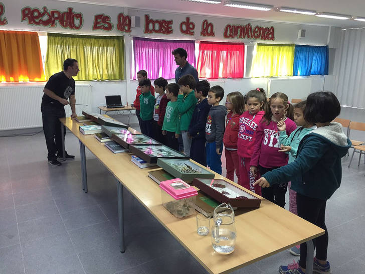 Los niños de Quer aprendieron sobre insectos de la mano de Jesús Balandín, coleccionista y entomólogo aficionado setero