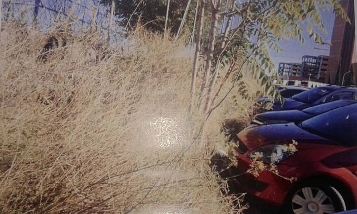 El PP asegura que Page ha llevado a la Sanidad de Guadalajara a un caos sin precedentes