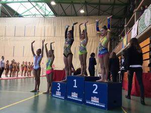 El Club de Gimnasia Rítmica Omega-Alsán de Villanueva de la Torre campeón de Castilla La Mancha