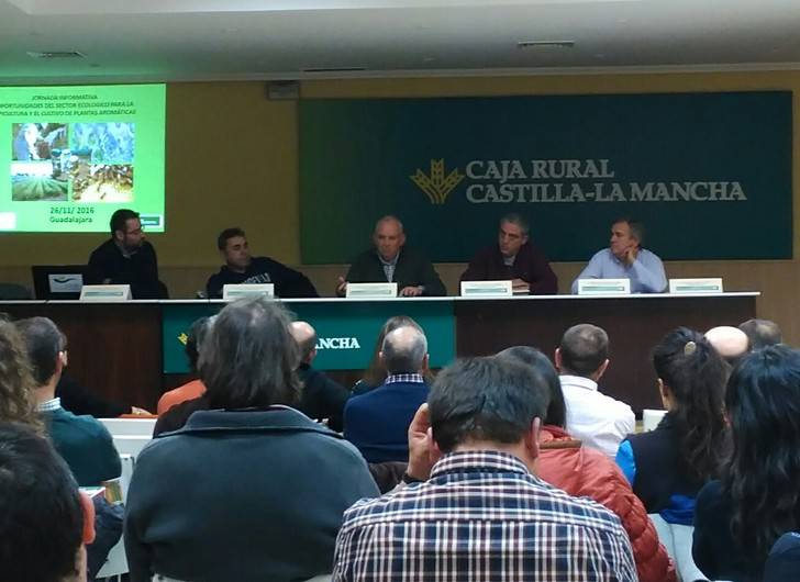 Apicultura y aromáticas, una opción de futuro para los agricultores