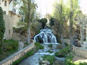 El Ayuntamiento, las asociaciones y los clubes deportivos de Trillo se unen para celebrar este sábado el Día Solidario