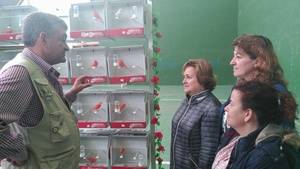 Hasta el viernes se pueden visitar los pájaros del V Concurso Ornitológico Villa de Alovera