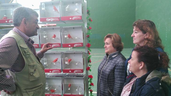 Hasta el viernes se pueden visitar los pájaros del V Concurso Ornitológico Villa de Alovera