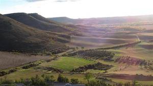 Crean una Plataforma para la defensa del medio natural del Valle del Henares