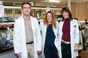 Microbiólogos del Hospital de Guadalajara abogan por la educación y la prevención frente al aumento de la resistencia a los antibióticos