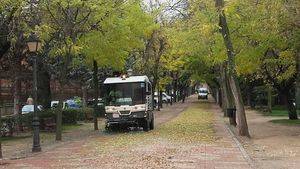 El Ayuntamiento de Guadalajara intensifica las labores para la retirada de las hojas de los árboles