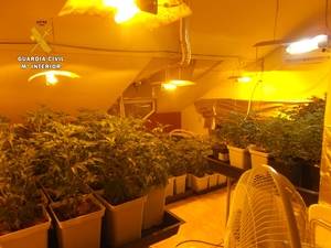 La Guardia Civil de Sese&#241;a detiene a una persona e investiga a otra por cultivar 836 plantas de marihuana