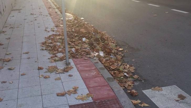 Ciudadanos Azuqueca reclama más limpieza en el barrio de El Vallejo