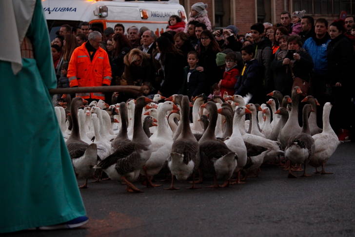 Foto : www.eduardobonillaruiz.com